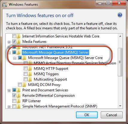 Figure: Enabling the MSMQ Server Core