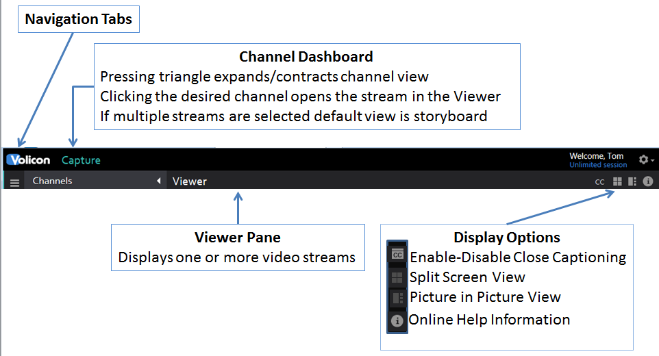 Figure: Capture Page Ribbon