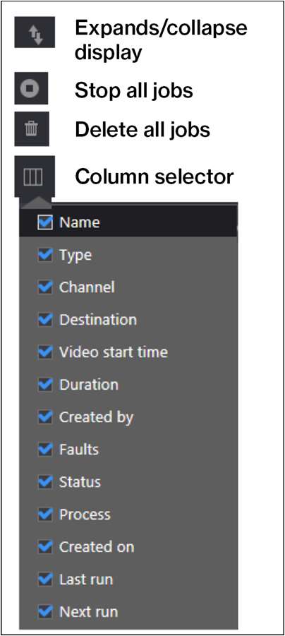 Figure: Management console display ribbon