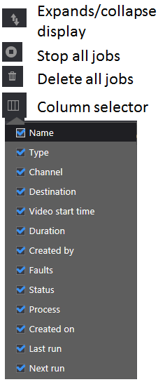 Figure: Management console display ribbon